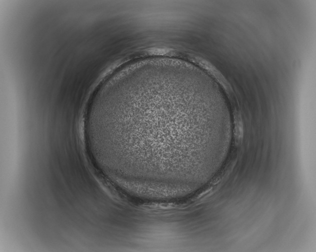 X0000111160626200907141402