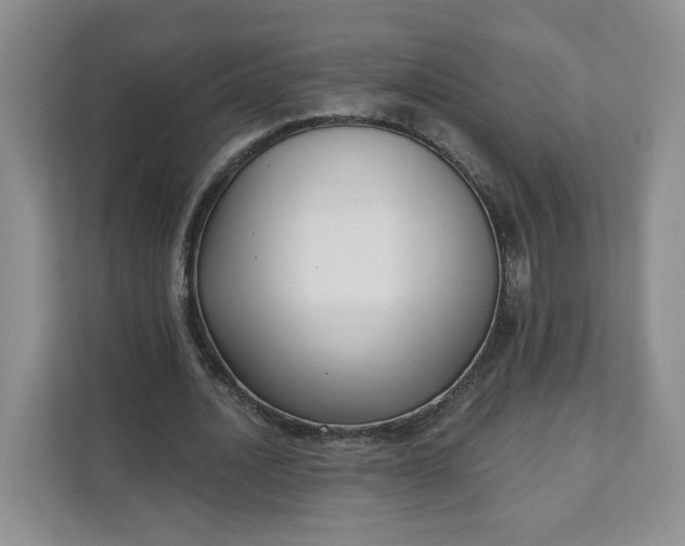 X0000111160628200907141402