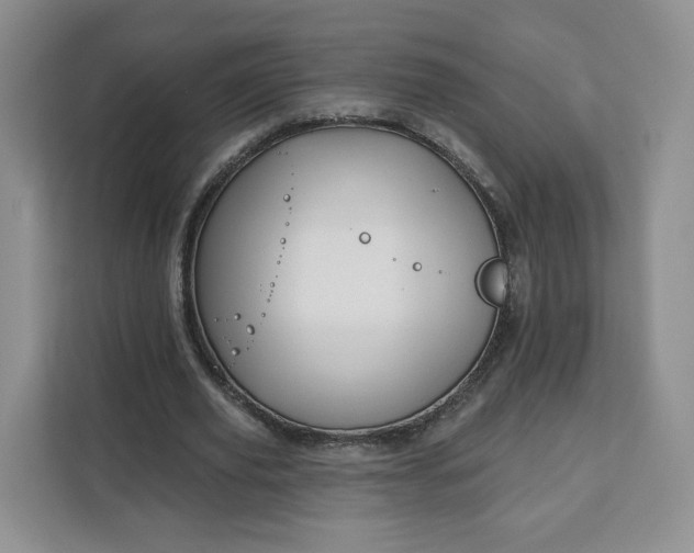 X0000111160629200907141402