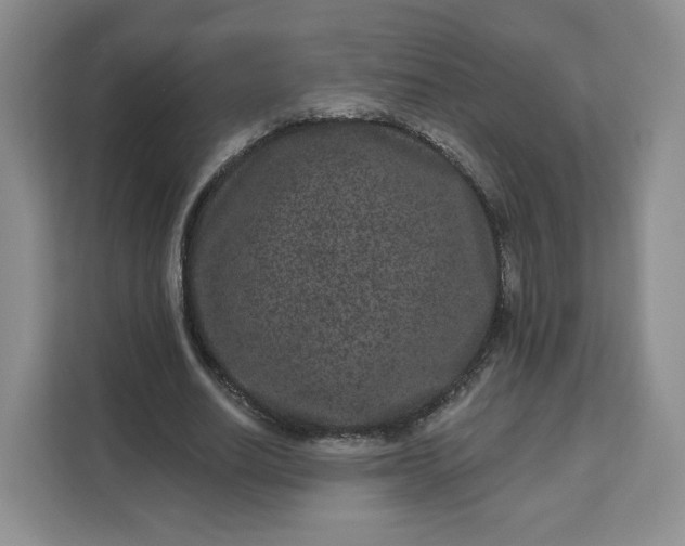 X0000111160630200907141402