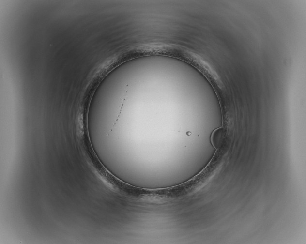 X0000111160633200907141402