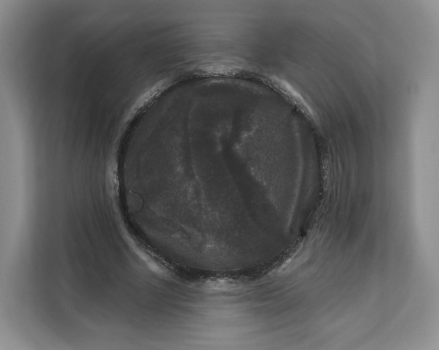 X0000111160634200907141402