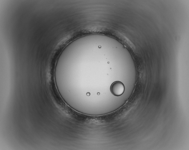 X0000111160635200907141402