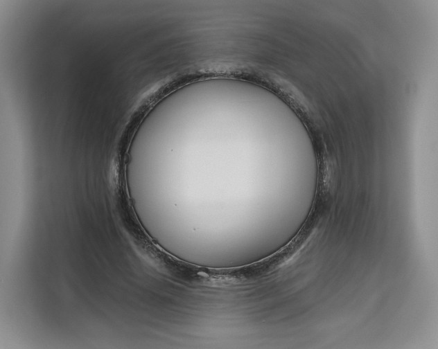 X0000111160636200907141402