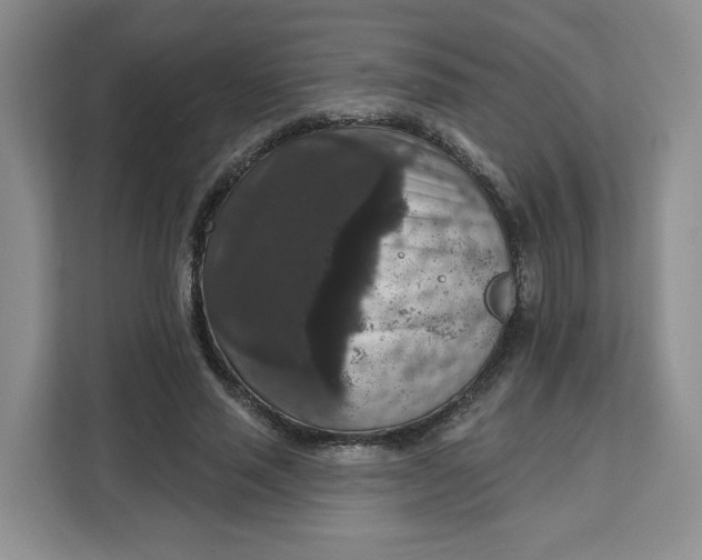 X0000111160637200907141402
