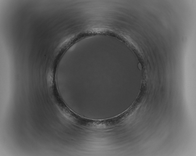 X0000111160640200907141402