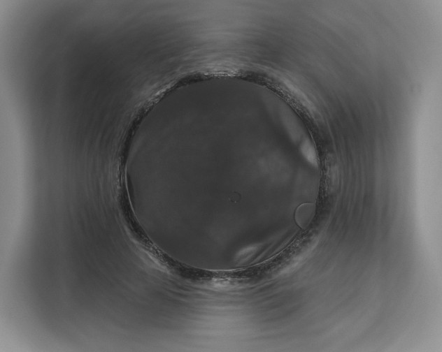 X0000111160641200907141402