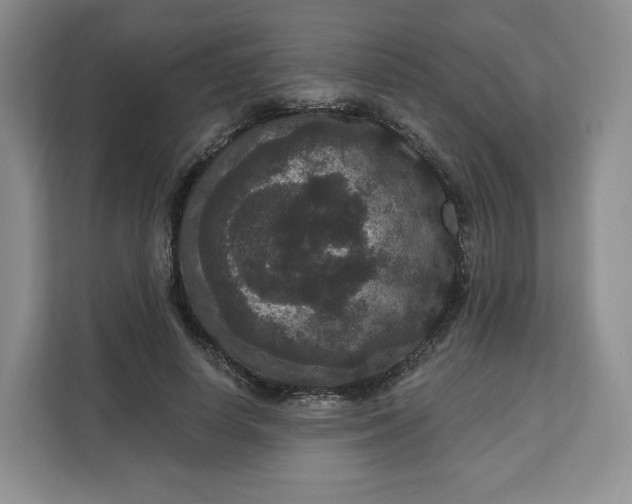 X0000111160642200907141402