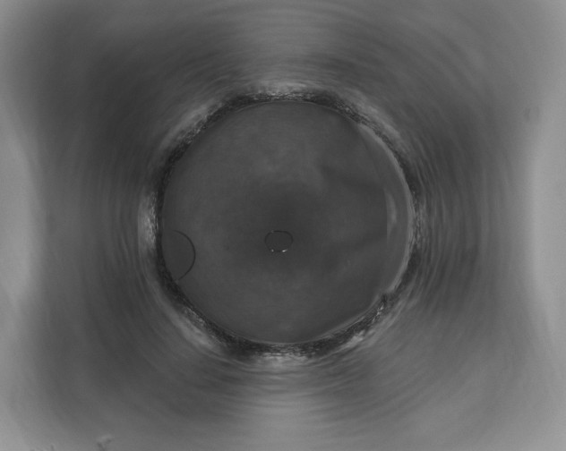 X0000111160644200907141402
