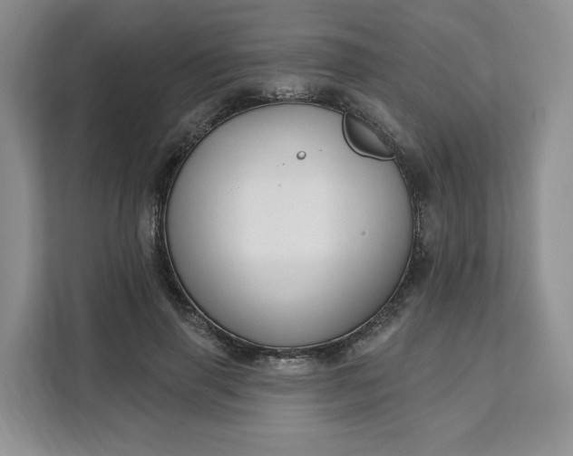 X0000111160645200907141402