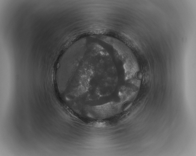 X0000111160647200907141402