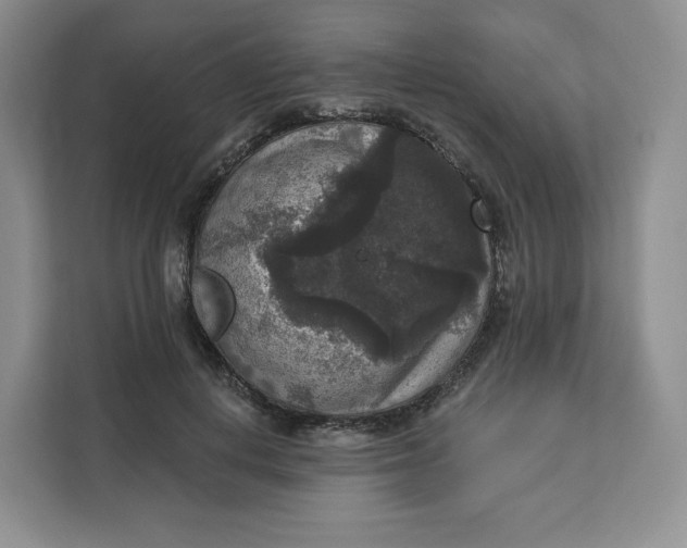 X0000111160648200907141402