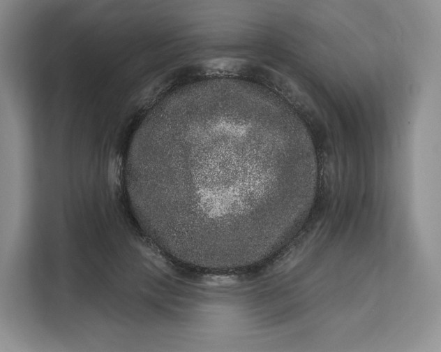 X0000111160649200907141402