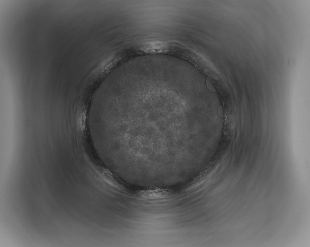 X0000111160652200907141402