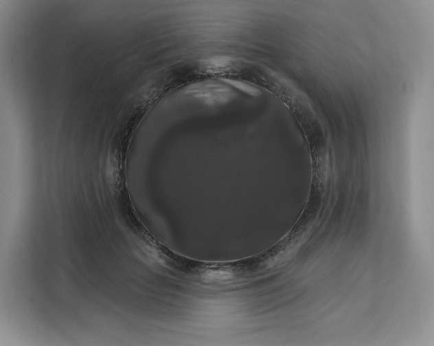 X0000111160653200907141402