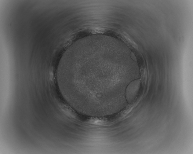 X0000111160655200907141402