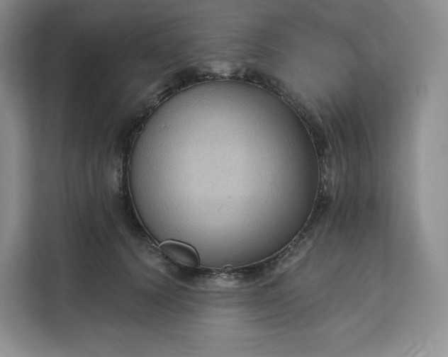 X0000111160656200907141402