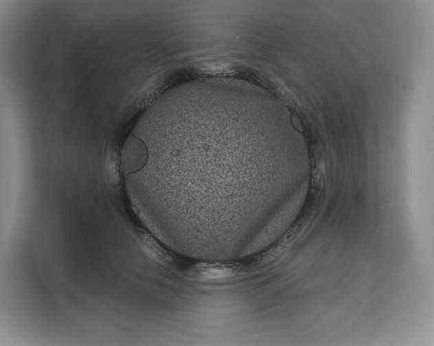 X0000111160658200907141402