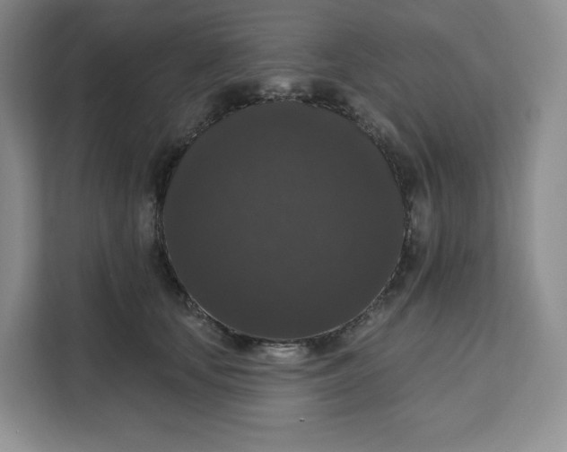 X0000111160659200907141402