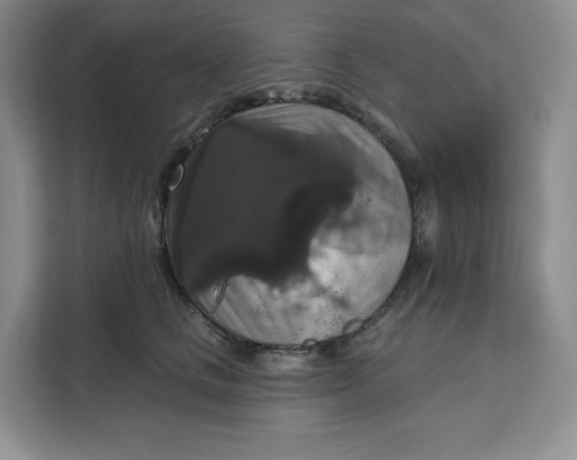 X0000111160661200907141402