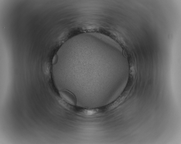 X0000111160662200907141402