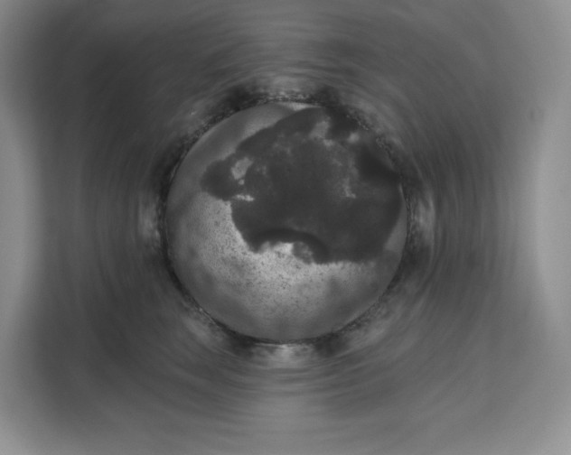 X0000111160663200907141402
