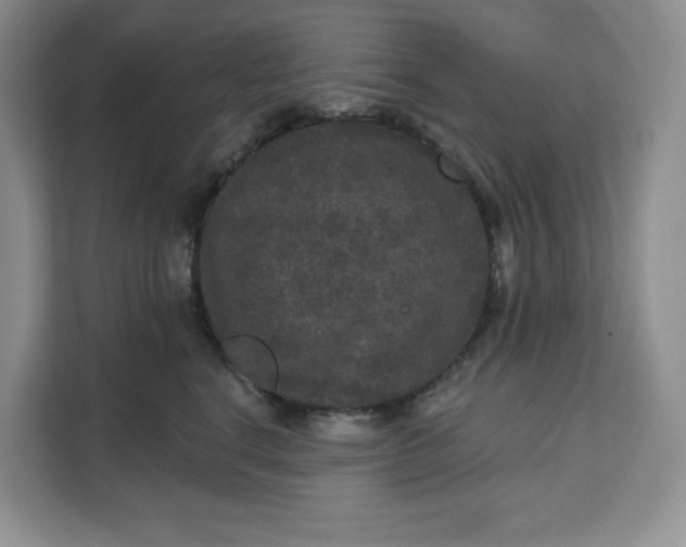 X0000111160664200907141403