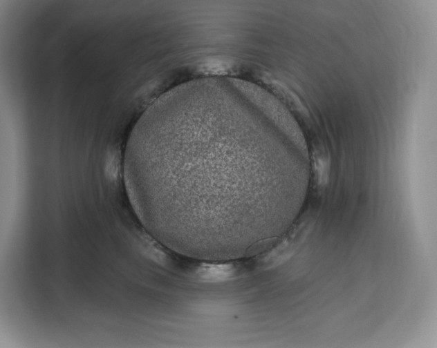 X0000111160665200907141403