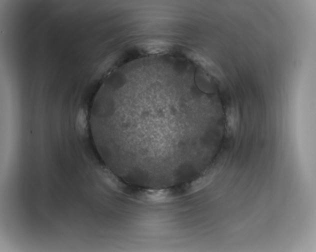 X0000111160667200907141403