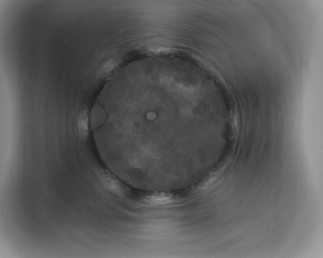 X0000111160668200907141403