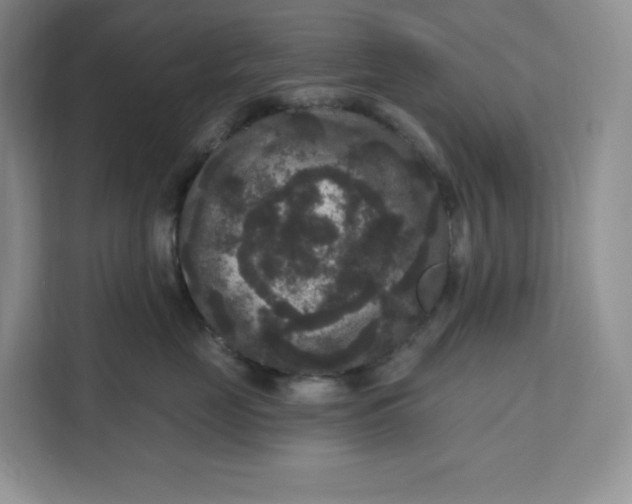 X0000111160669200907141403
