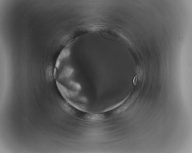 X0000111160670200907141403