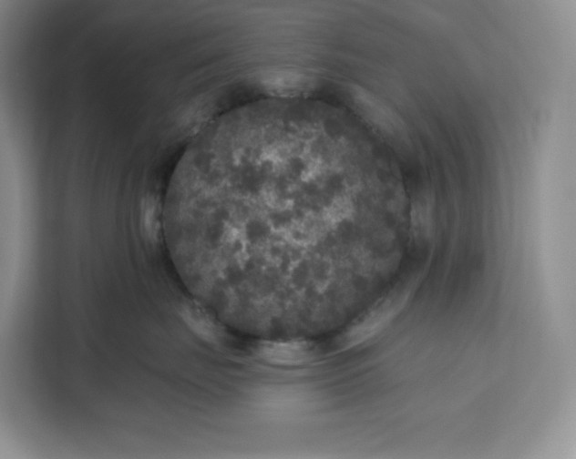 X0000111160671200907141403