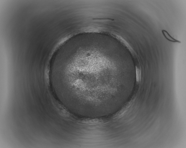 X0000111160675200907141402