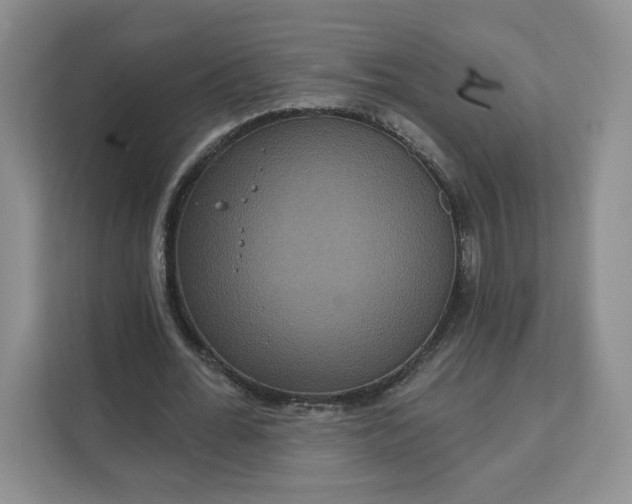 X0000111160676200907141402