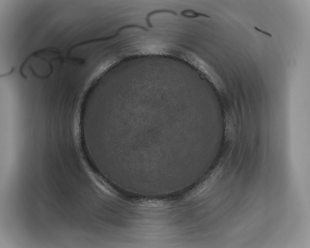 X0000111160677200907141402