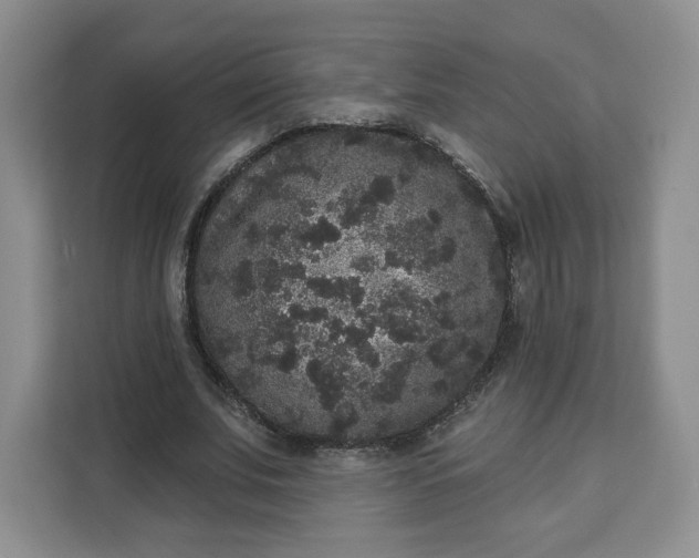 X0000111160679200907141402