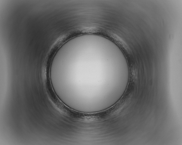 X0000111160686200907141402