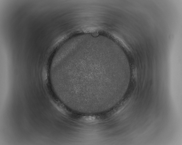X0000111160687200907141402