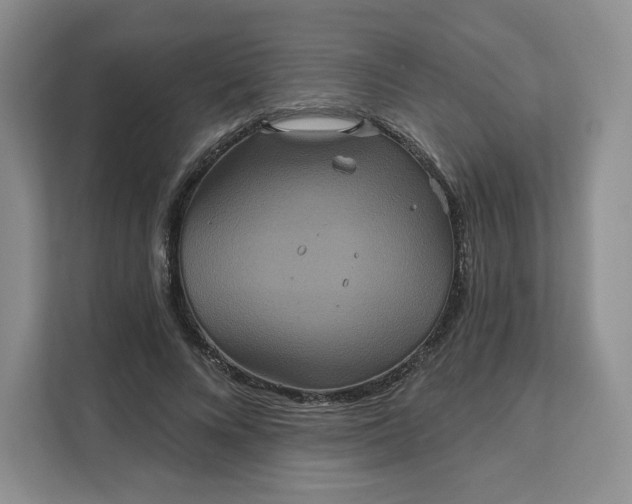 X0000111160688200907141402