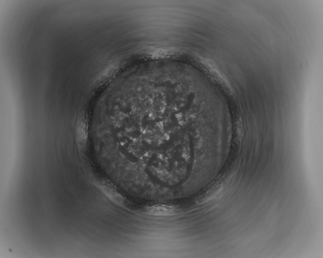X0000111160691200907141402
