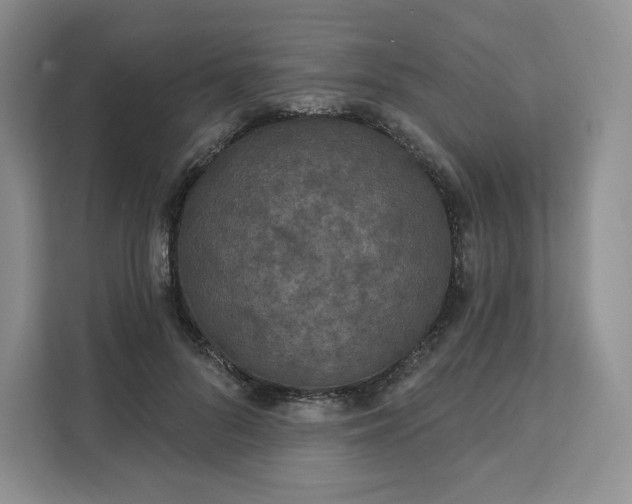 X0000111160696200907141402