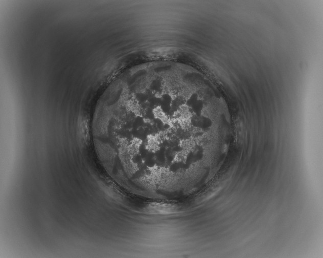 X0000111160699200907141402