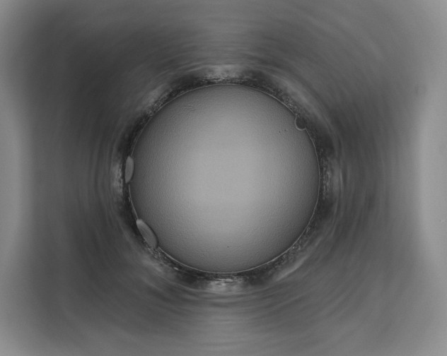 X0000111160700200907141402