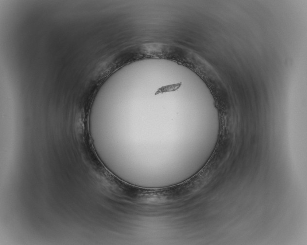 X0000111160702200907141402