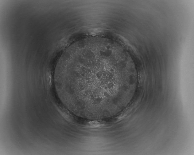 X0000111160703200907141401