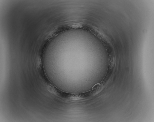 X0000111160704200907141401