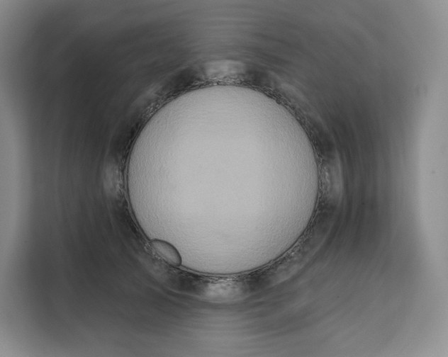 X0000111160705200907141401