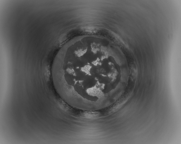 X0000111160707200907141401