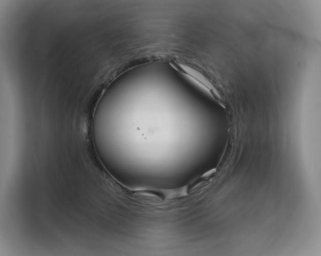 X0000111160709200907141401